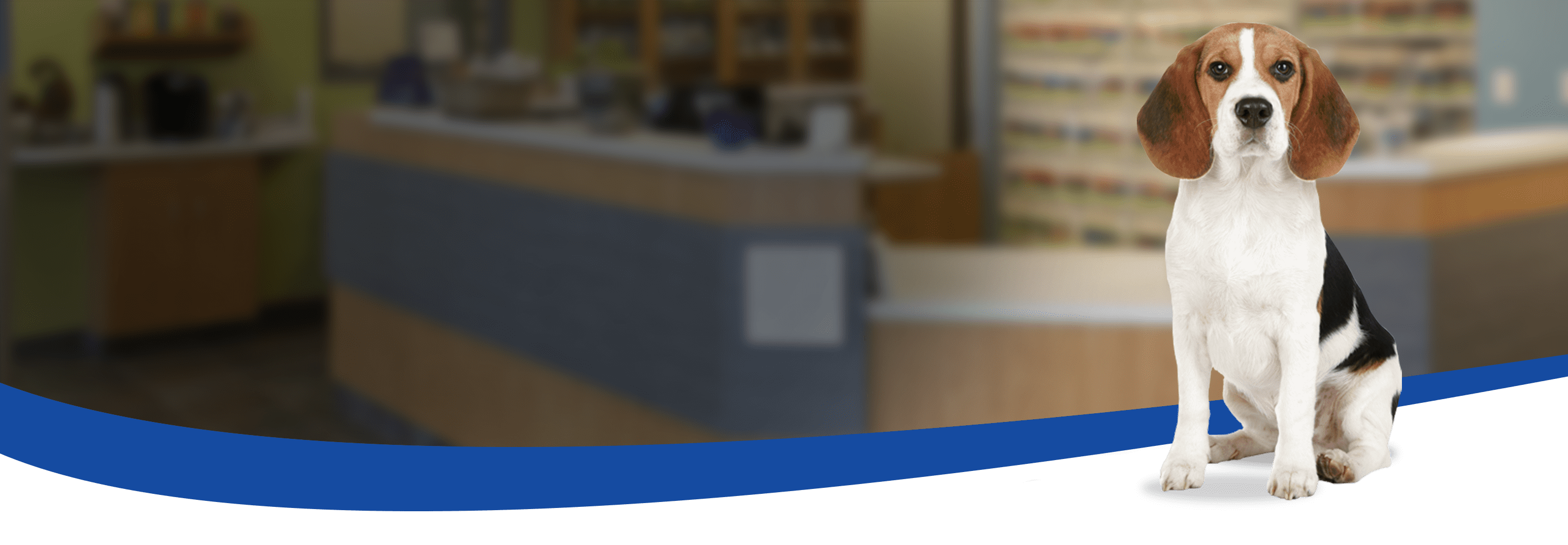 animalcounty_slide - Cumberland Animal Hospital - Veterinarian in Fayetteville, NC animalcounty_slide