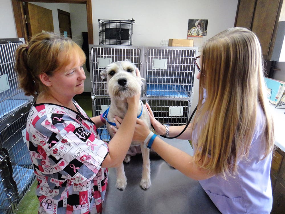 staff - Cumberland Animal Hospital - Veterinarian in Fayetteville, NC staff