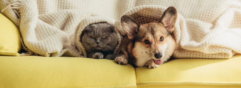 Depositphotos_212587032_XL